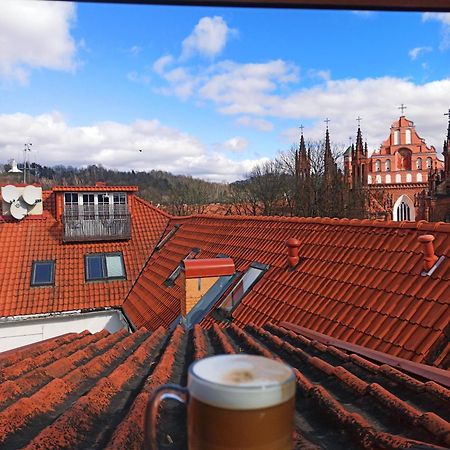 Private Sauna & 4 Bedrooms Old Town Rooftop Apartment Wilna Exterior foto