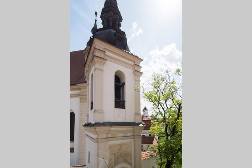 Private Sauna & 4 Bedrooms Old Town Rooftop Apartment Wilna Exterior foto