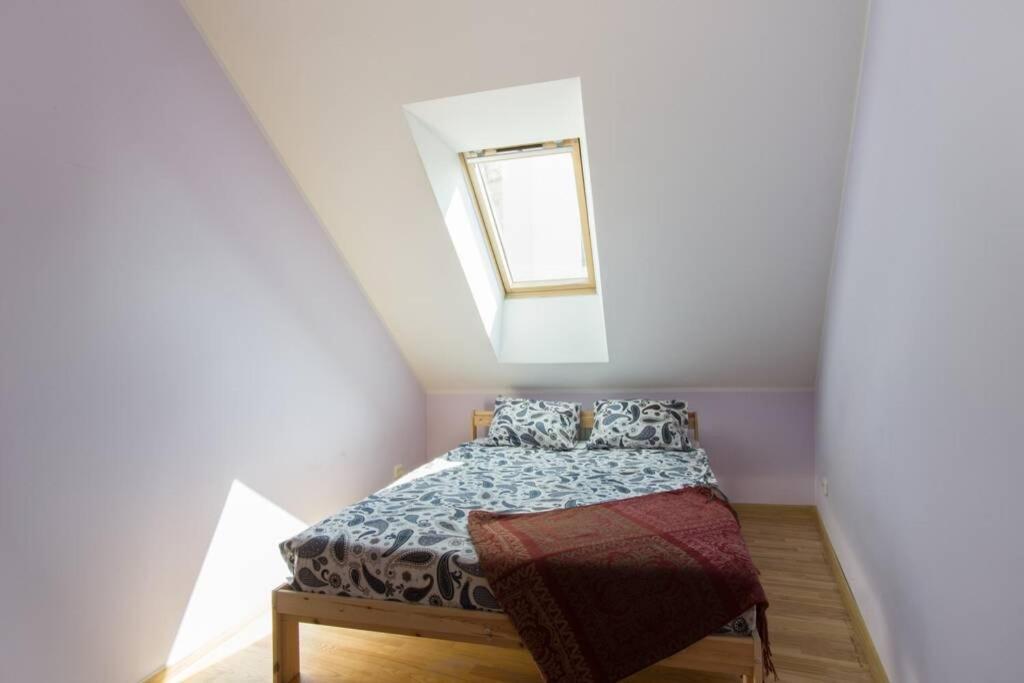 Private Sauna & 4 Bedrooms Old Town Rooftop Apartment Wilna Exterior foto