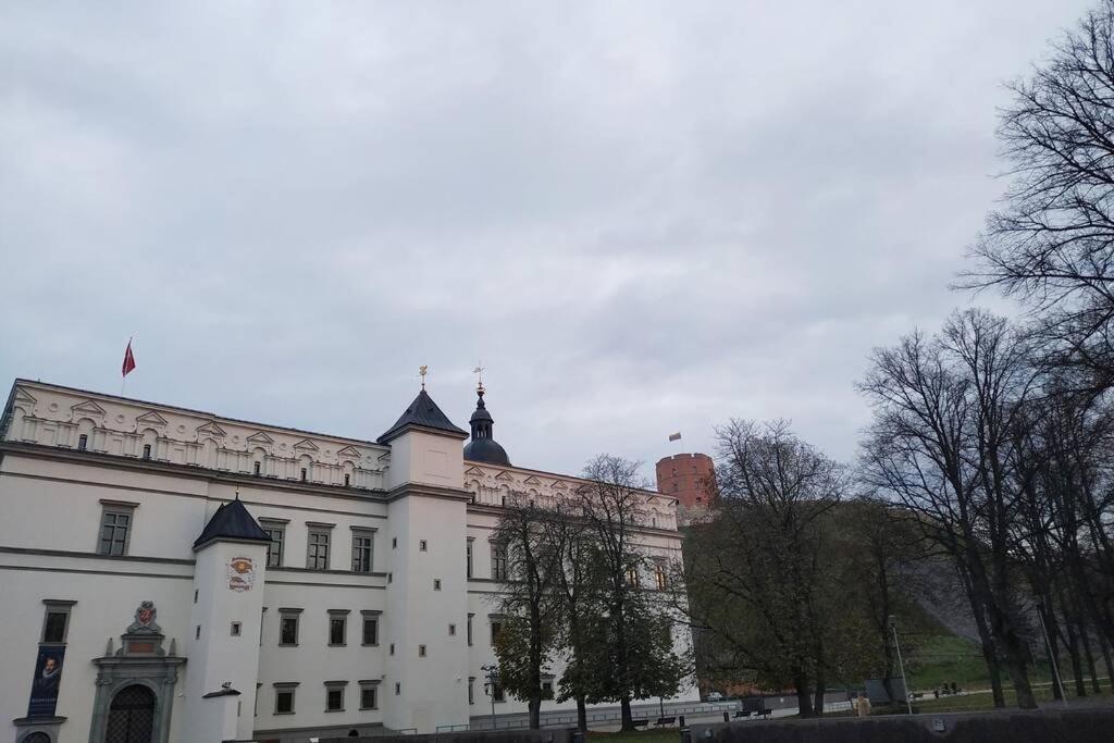 Private Sauna & 4 Bedrooms Old Town Rooftop Apartment Wilna Exterior foto