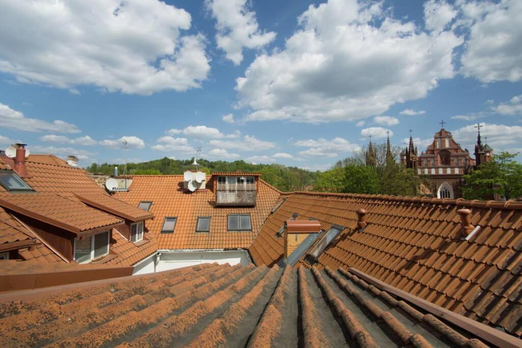 Private Sauna & 4 Bedrooms Old Town Rooftop Apartment Wilna Exterior foto