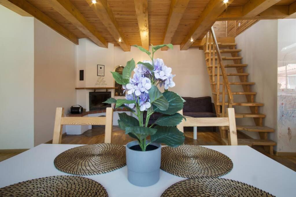 Private Sauna & 4 Bedrooms Old Town Rooftop Apartment Wilna Exterior foto