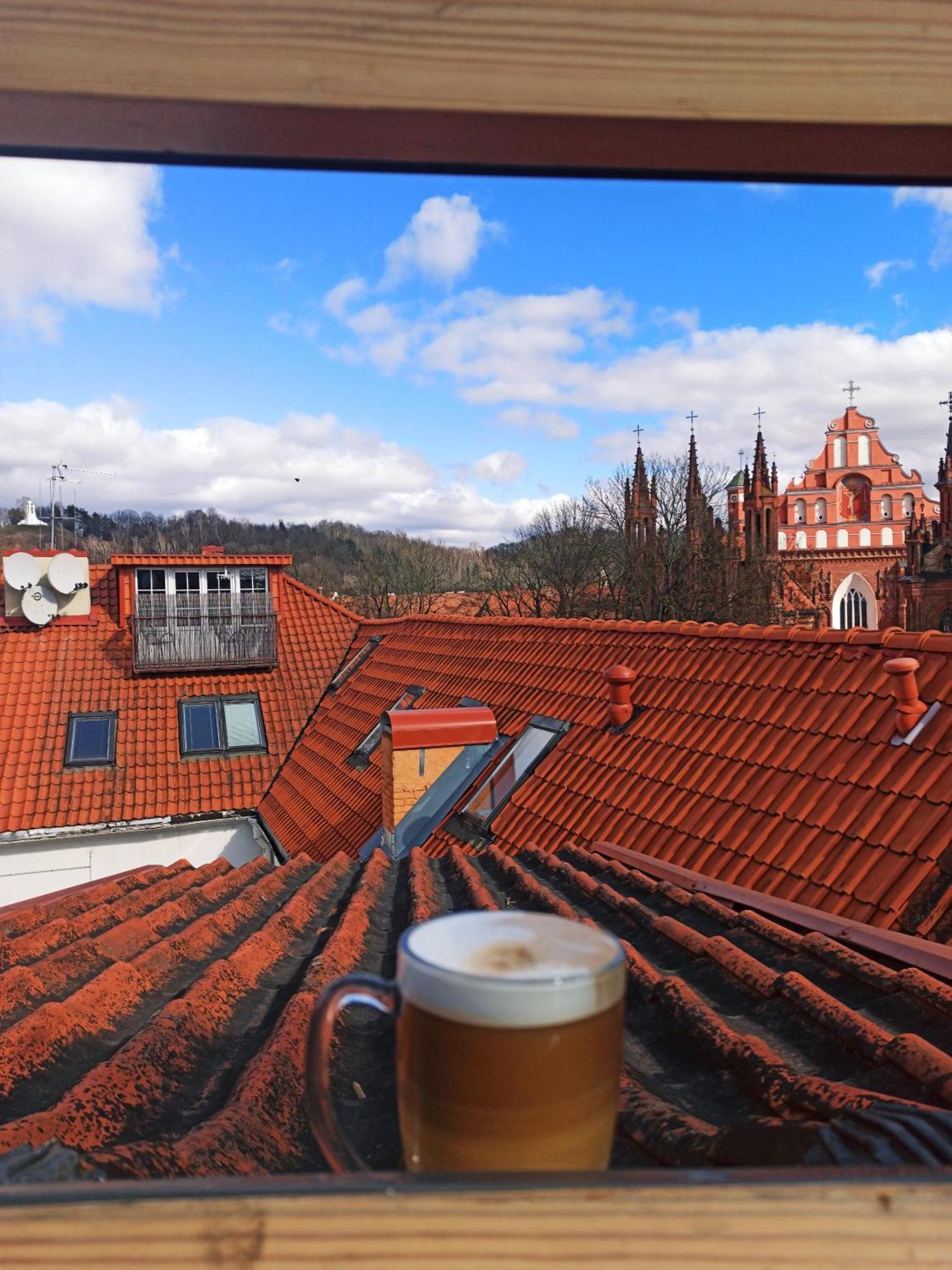 Private Sauna & 4 Bedrooms Old Town Rooftop Apartment Wilna Exterior foto